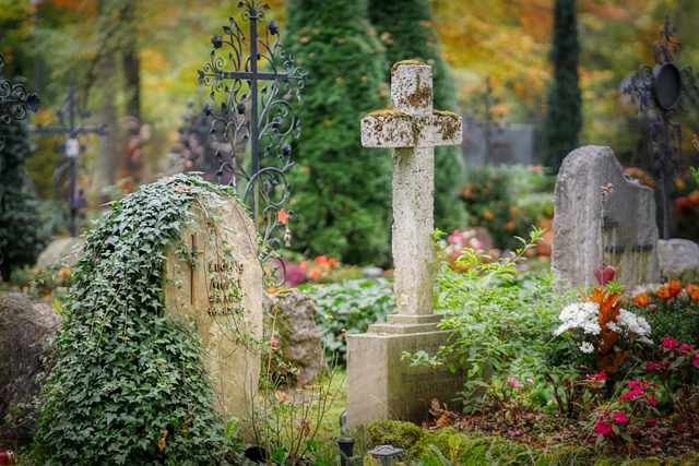 Graveyard covered in ivy